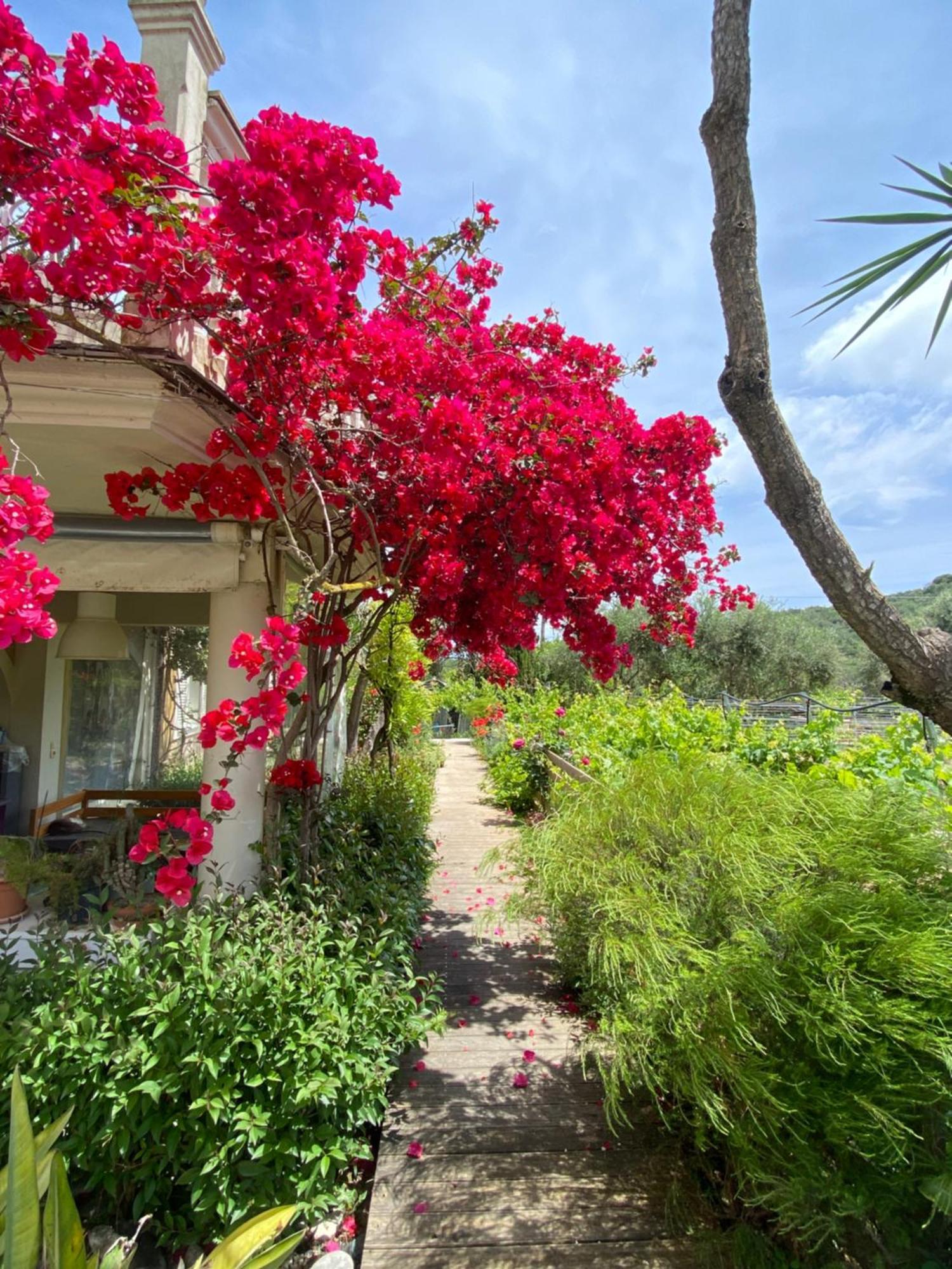 Kali Zoi -B&B Zakynthos Amúdi Kültér fotó